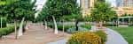 Paseo peatonal con árboles jóvenes y césped en Klyde Warren Park