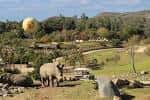 Vista panorámica del Safari Park con animales en hábitat natural
