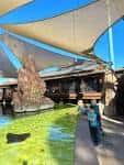 Vista de un área de exhibición al aire libre con estructuras de sombra y animales acuáticos
