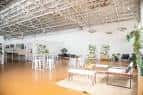 Área de recepción en el interior del venue con plantas y mobiliario moderno