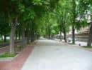 Sendero peatonal del paseo con árboles frondosos y pavimento limpio