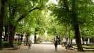 Área verde del paseo con sombra de árboles y bancos para descanso