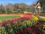 Vista panorámica de los jardines con tulipanes coloridos y escultura moderna