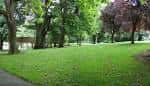 Vista panorámica de Irving Park con césped verde y árboles frondosos