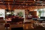 Interior del lobby de Drift Nashville con diseño moderno y plantas