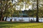 Área de picnic junto al río con árboles frondosos y mesas bajo la sombra