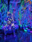 Interior vibrante de Radio Tave con iluminación neón y decoraciones psicodélicas