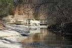 Cauce del arroyo en el parque con rocas y vegetación ribereña