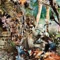 Escena de fauna taxidermizada en entorno forestal