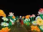 Exposición nocturna de luces con flores gigantes en el jardín