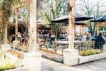 Terraza exterior de Smoky Rose con mesas y sombrillas en un entorno natural