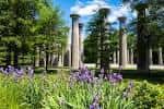 Jardín con columnas griegas y flores púrpuras bajo cielo azul