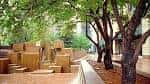 Área de descanso con bancos de madera y árboles en Skyline Park