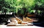 Escaleras de concreto rodeadas de vegetación en el parque