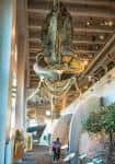 Interior del museo mostrando el esqueleto de una ballena suspendido en el atrio principal