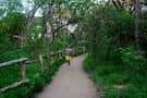Sendero forestal con valla de madera y persona caminando