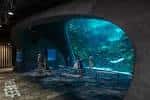 Espacio expositivo moderno con tanque de peces integrado en arquitectura orgánica