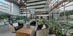 Área de lounge interior con mobiliario contemporáneo y plantas