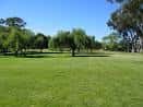 Vista panorámica de los amplios jardines y árboles de Pioneer Park bajo un cielo despejado