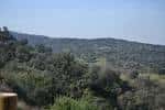 Vista panorámica de la Sierra del Gordo con vegetación mediterránea y cielo despejado