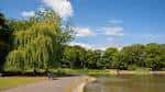Orilla del lago en Leazes Park con sauce llorón y sendero peatonal