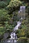 Cascada serena rodeada de vegetación exuberante