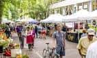 Escena del mercado al aire libre con vendedores, compradores y bicicletas en un entorno arbolado