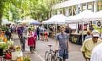 Pasillo principal del mercado con visitantes y puestos entre árboles