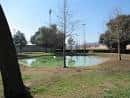 Vista del estanque central con árboles y césped en los Jardins de Lluís Companys
