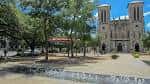 Plaza principal con la Catedral de San Fernando al fondo y árboles frondosos