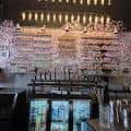 Interior del bar de Colorado Sake Co. con estanterías iluminadas y botellas de sake