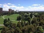 Amplia vista panorámica de los campos verdes y senderos del parque