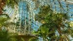 Interior del invernadero con palmeras y estructura de cristal