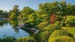 Vista panorámica del jardín con estanque y vegetación exuberante bajo luz solar