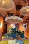 Detalles de iluminación colgante y plantas en el espacio interior