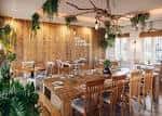 Interior acogedor del restaurante Byoko con decoración de madera y plantas colgantes