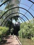 Vista interior del aviario con pasarela y vegetación tropical