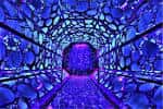Túnel inmersivo de luces azules y moradas con formas orgánicas