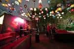 Interior del bar con iluminación colorida y ambiente festivo