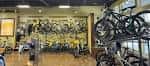 Interior de la tienda con bicicletas expuestas y ambiente deportivo