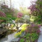 Paisaje del jardín japonés con puente y arroyo