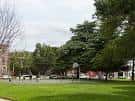 Espacio abierto del parque con césped y árboles bajo cielo nublado