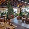 Interior del local Mother Co. con plantas y mobiliario para eventos