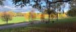 Vista panorámica del Forest Recreation Ground con árboles de otoño y senderos