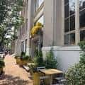 Vista exterior de la fachada de FRIEDA en Filadelfia con plantas y mesas al aire libre