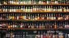 Estantería interior del bar repleta de botellas de whisky y licores, mostrando la variedad de bebidas disponibles