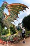 Gran escultura de dragón hecha de plantas con un visitante tomando foto