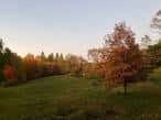 Paisaje natural del Awbury Arboretum con árboles de otoño y pradera al atardecer