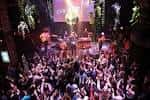 Concierto en vivo con banda actuando sobre escenario y multitud animada