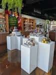 Área de exhibición interior con pedestales blancos y decoración natural